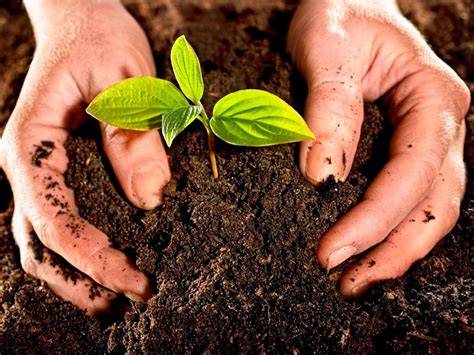 Abono ecologico PenalbaWeb.com