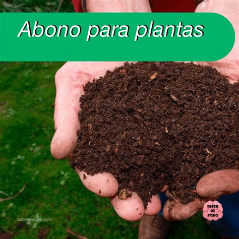 Abono plantas PenalbaWeb.com