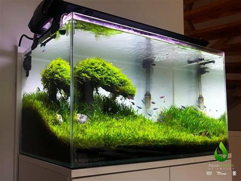 Accesorios acuario PenalbaWeb.com
