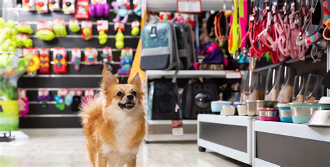 Accesorios animales PenalbaWeb.com
