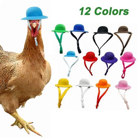 Accesorios gallinas PenalbaWeb.com