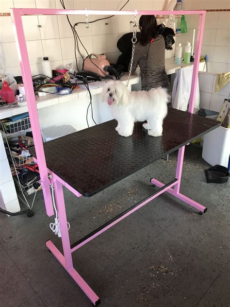 Accesorios de peluqueria canina PenalbaWeb.com