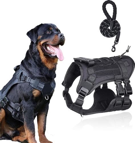 Accesorios para perros PenalbaWeb.com