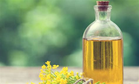 Aceite de colza PenalbaWeb.com