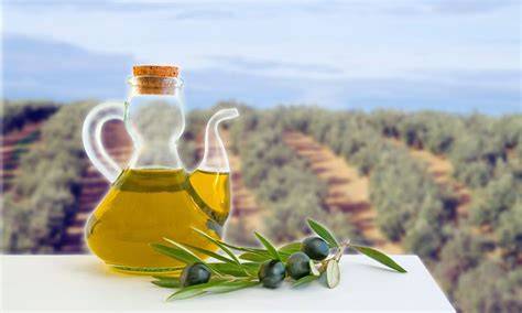 Aceite en jaen PenalbaWeb.com