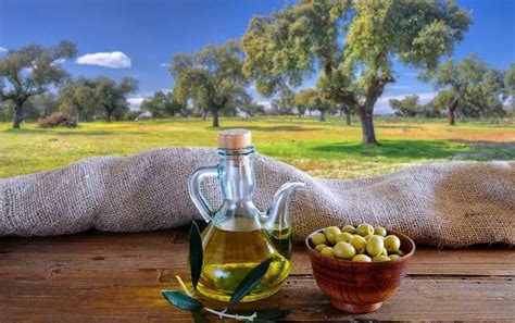 Aceite de oliva de jaen PenalbaWeb.com