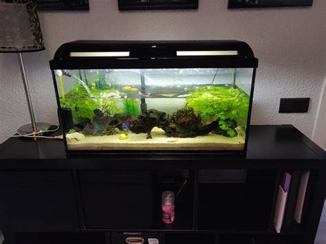 Acuario 100 PenalbaWeb.com