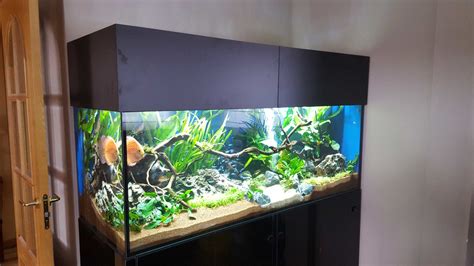 Acuario 120 litros PenalbaWeb.com