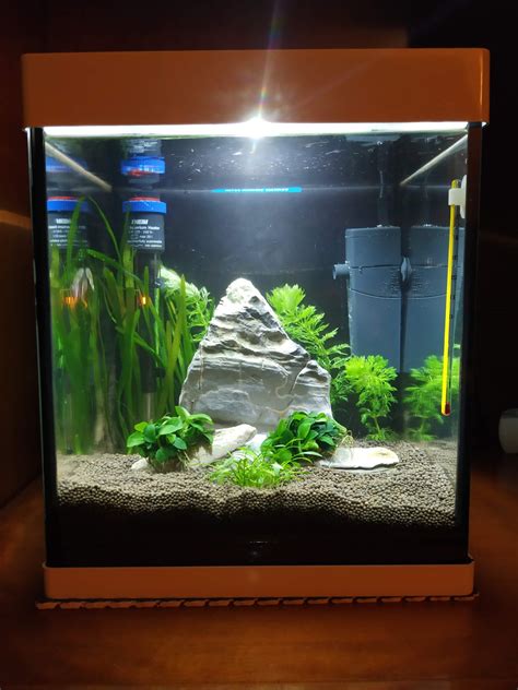 Acuario 20 litros PenalbaWeb.com