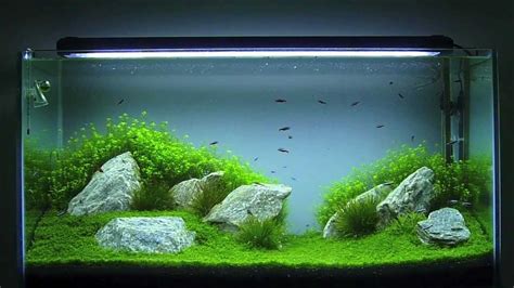 Acuario 200 l PenalbaWeb.com