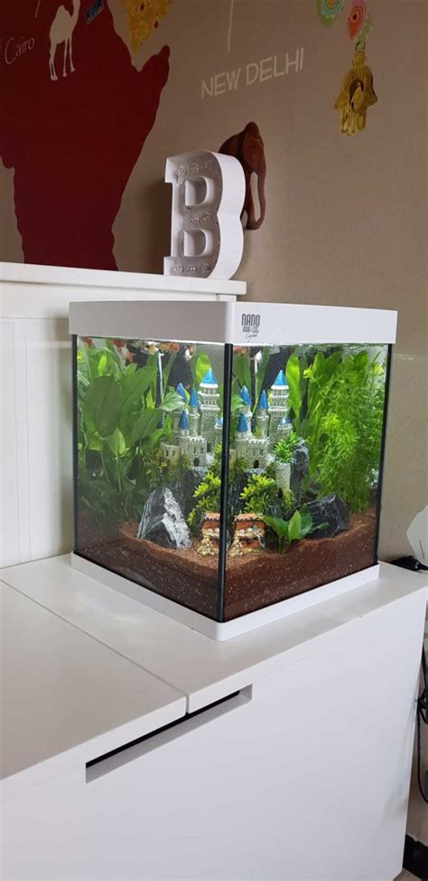 Acuario 30 litros PenalbaWeb.com