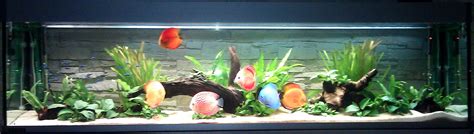 Acuario 400 litros PenalbaWeb.com