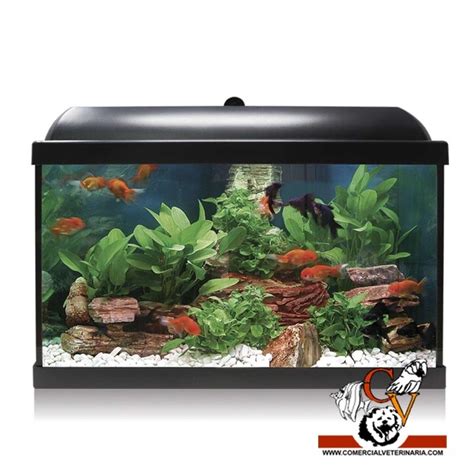 Acuario 45 litros PenalbaWeb.com