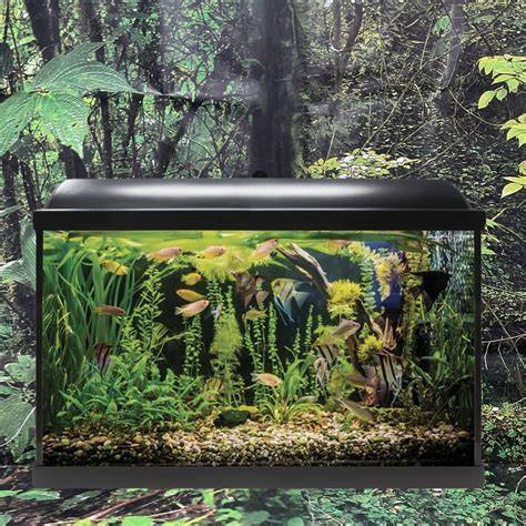 Acuario 60 l PenalbaWeb.com