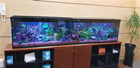 Acuario de 600 litros PenalbaWeb.com