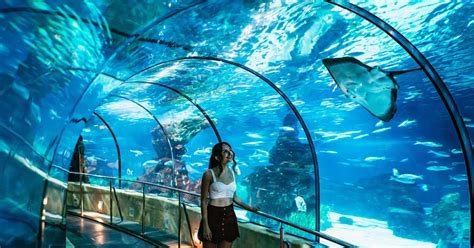 Acuario barcelona PenalbaWeb.com
