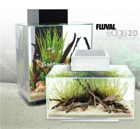 Acuario fluval PenalbaWeb.com