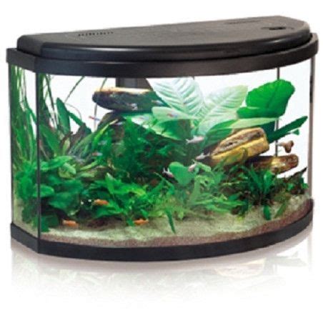 Acuario panoramico PenalbaWeb.com