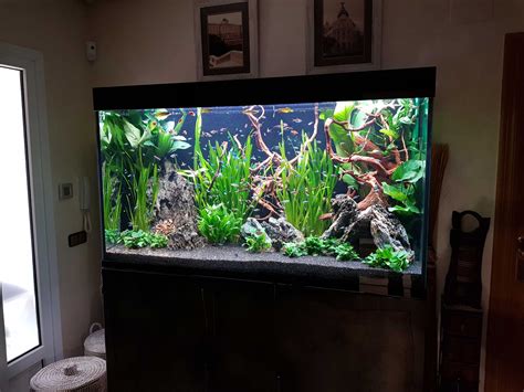 Acuario tropical PenalbaWeb.com
