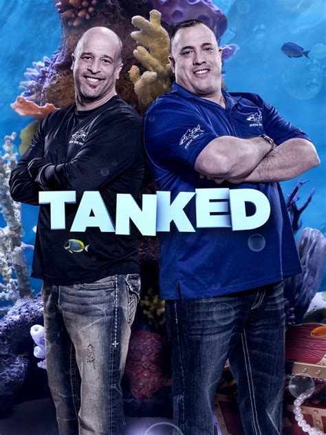 Acuarios xxl PenalbaWeb.com