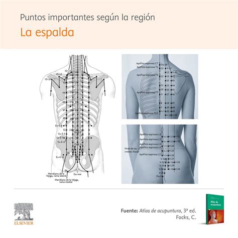 Acupuntura PenalbaWeb.com