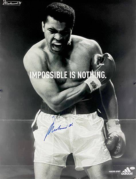 Adidas ali PenalbaWeb.com