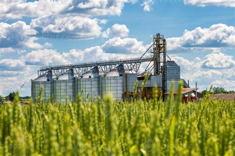 Agro PenalbaWeb.com