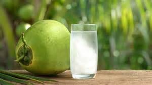 Agua de coco PenalbaWeb.com