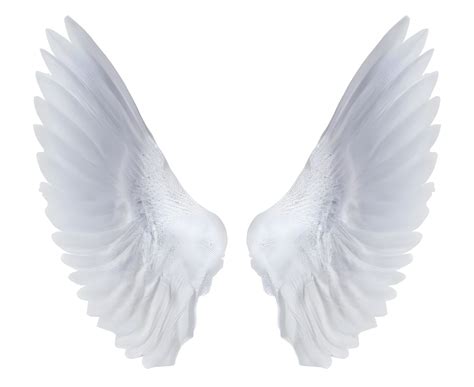 Alas de angel PenalbaWeb.com