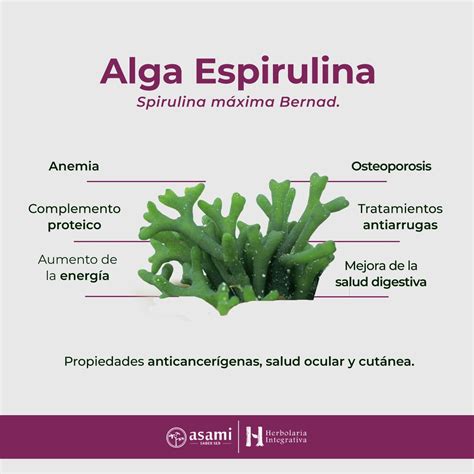Alga espirulina PenalbaWeb.com