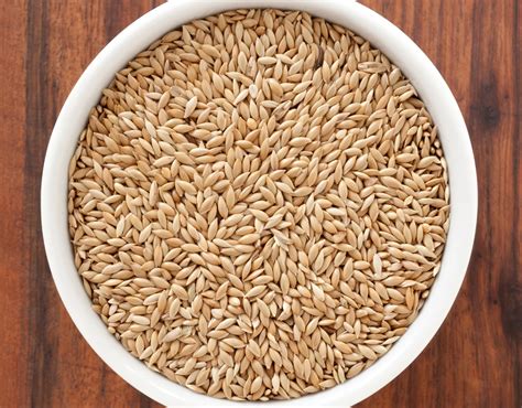 Alpiste PenalbaWeb.com