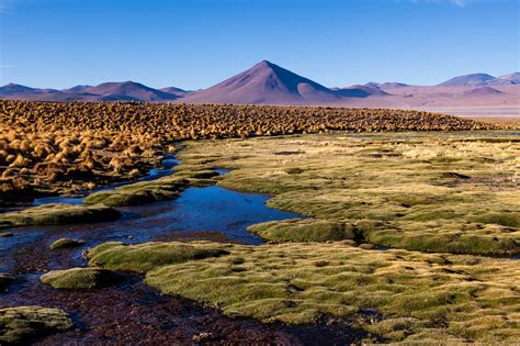 Altiplano PenalbaWeb.com