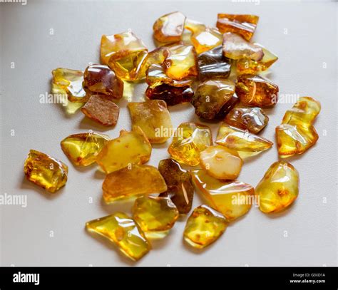 Ambre PenalbaWeb.com