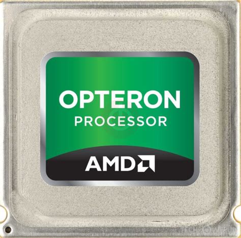 Amd opteron PenalbaWeb.com