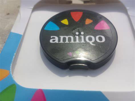 Amiiqo PenalbaWeb.com