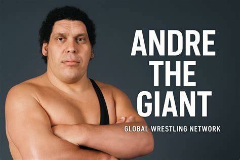 Andre PenalbaWeb.com