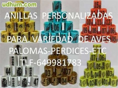 Anillas para palomas PenalbaWeb.com