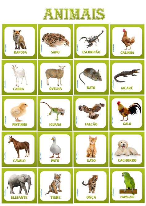 Animais PenalbaWeb.com