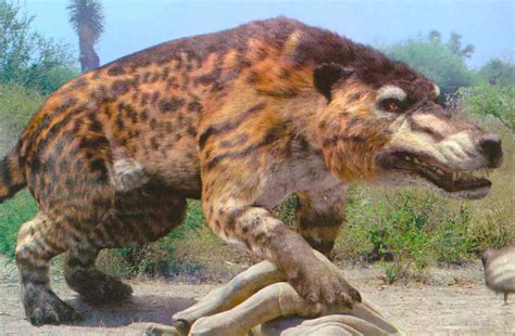 Animales prehistoricos PenalbaWeb.com