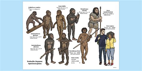 Apariencia PenalbaWeb.com