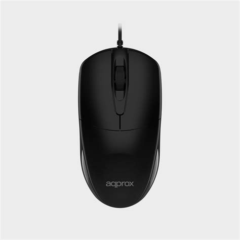 Approx raton PenalbaWeb.com