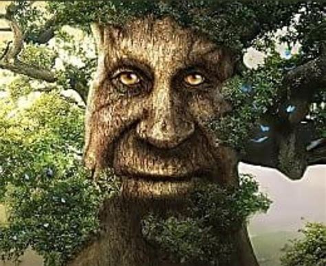 Arbol sabio PenalbaWeb.com