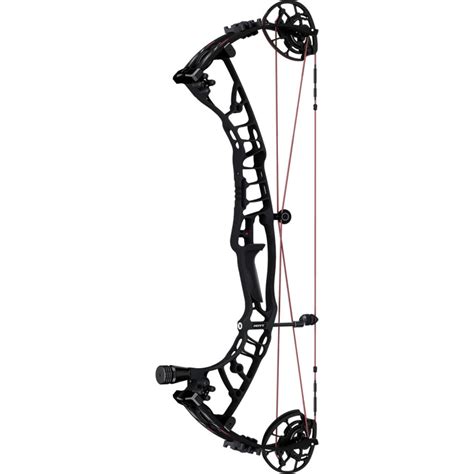 Arco hoyt PenalbaWeb.com