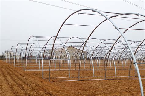 Arcos invernadero PenalbaWeb.com