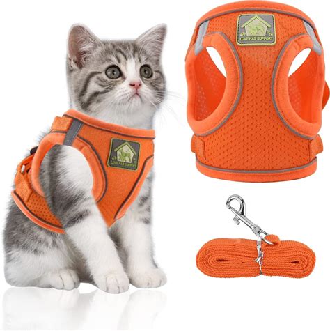 Arnes gatos PenalbaWeb.com