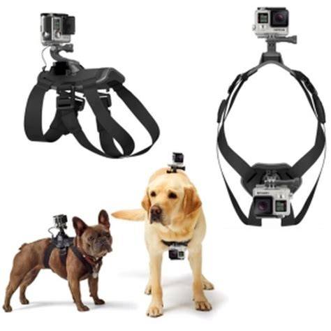 Arnes gopro perro PenalbaWeb.com