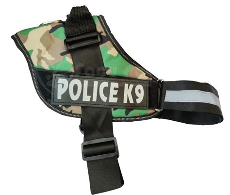Arnes k9 PenalbaWeb.com