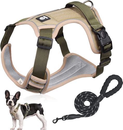 Arnes perro PenalbaWeb.com