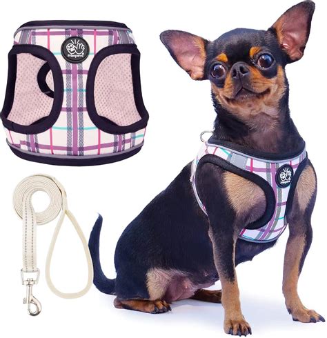 Arnes para perros pequeños PenalbaWeb.com
