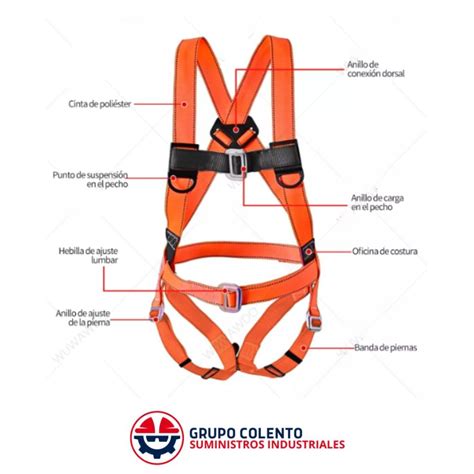 Arnes de seguridad PenalbaWeb.com